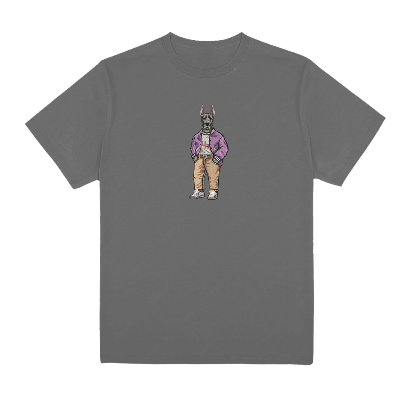 University of Albany Varsity Jacket Embroidered Tee