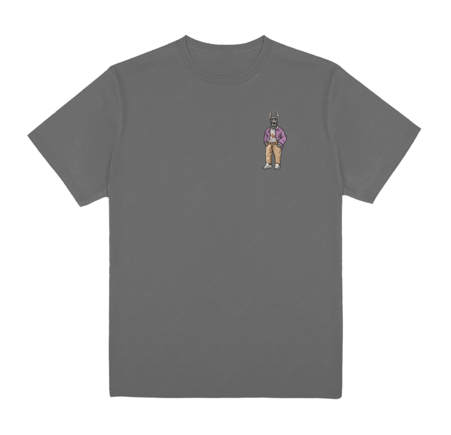 University of Albany Varsity Jacket Embroidered Tee