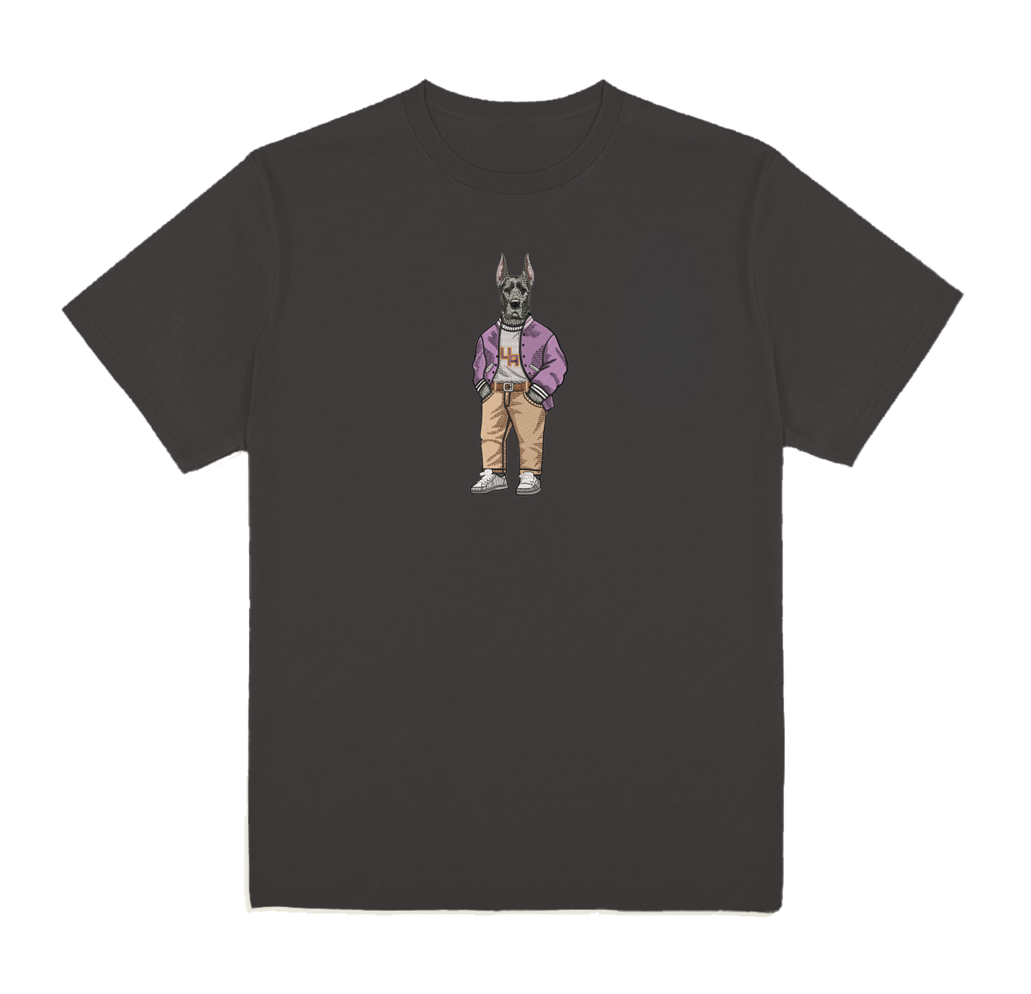 University of Albany Varsity Jacket Embroidered Tee