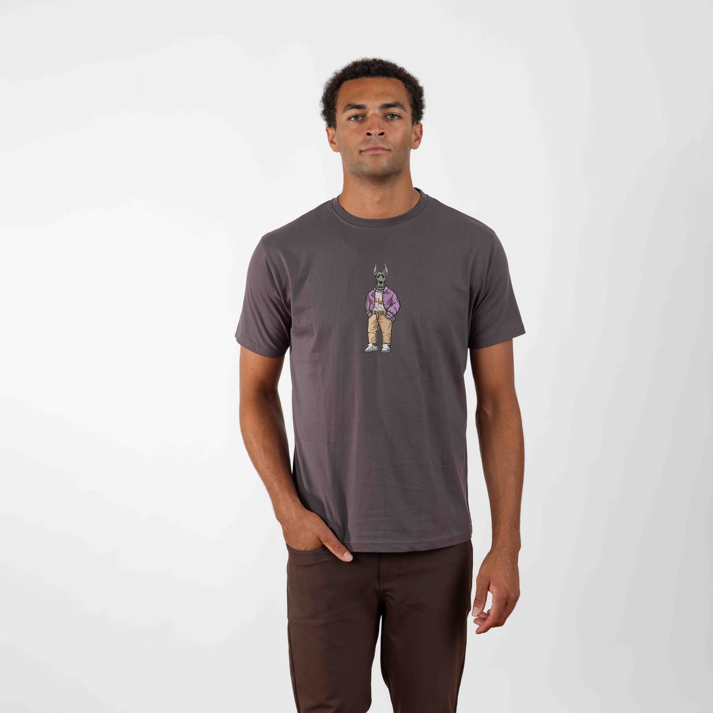 University of Albany Varsity Jacket Embroidered Tee