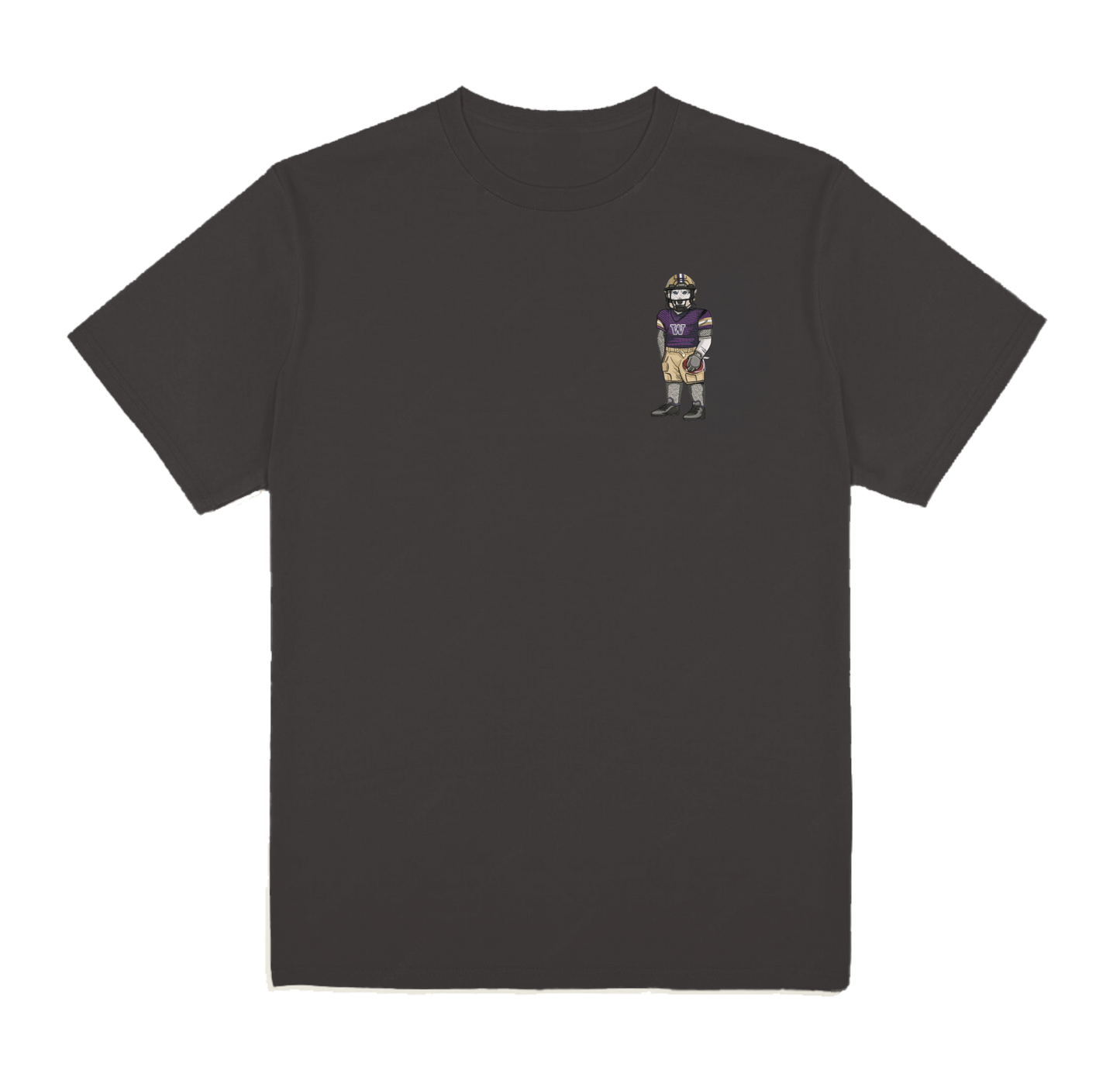 University of Washington Football Embroidered Tee