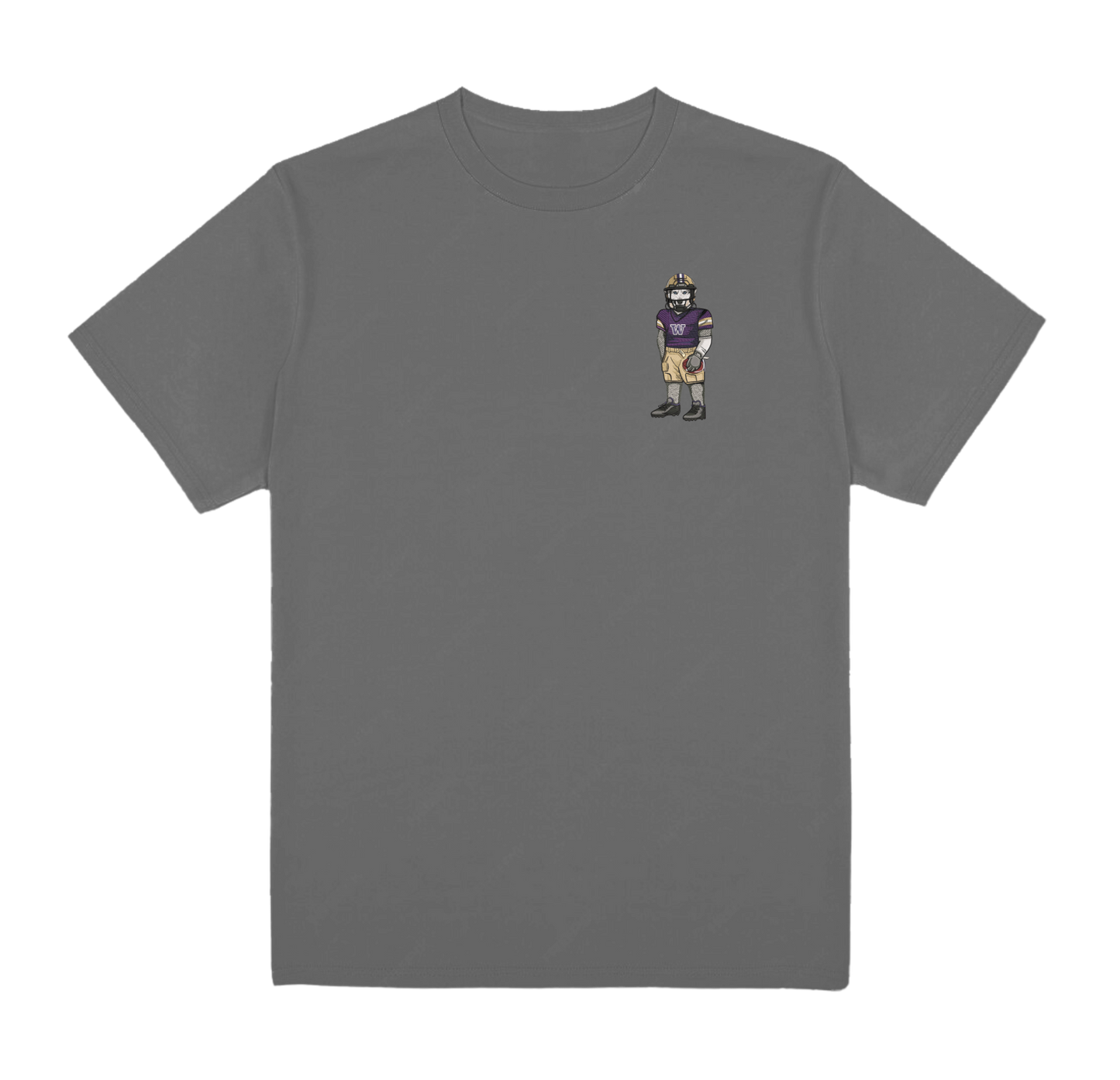 University of Washington Football Embroidered Tee