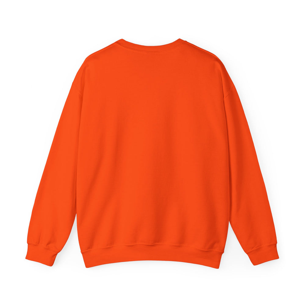 
                      
                        Princeton Film Crewneck (side)
                      
                    