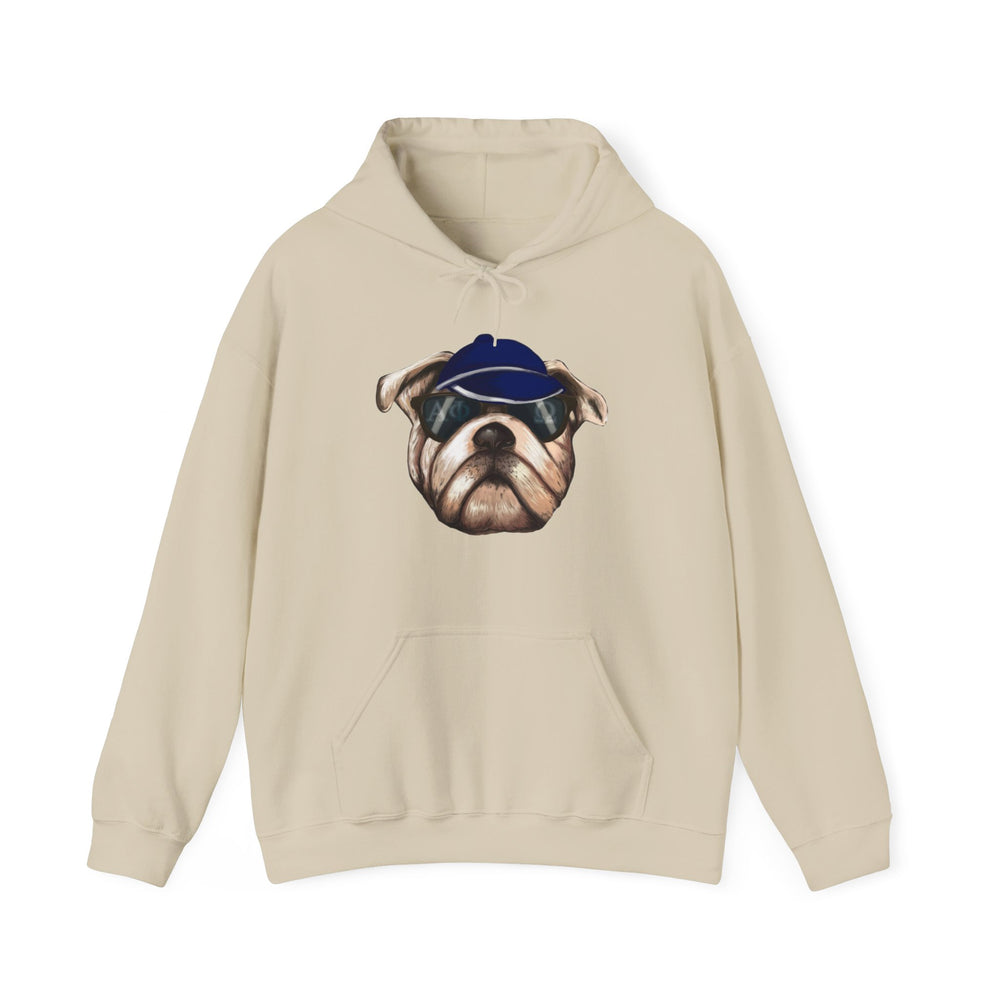 
                      
                        Alpha Phi Omega Hoodie
                      
                    