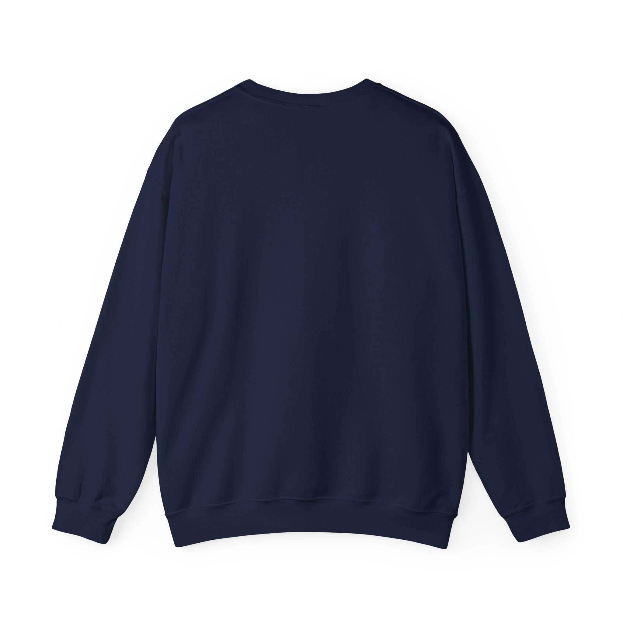 College crew neck sweater on sale