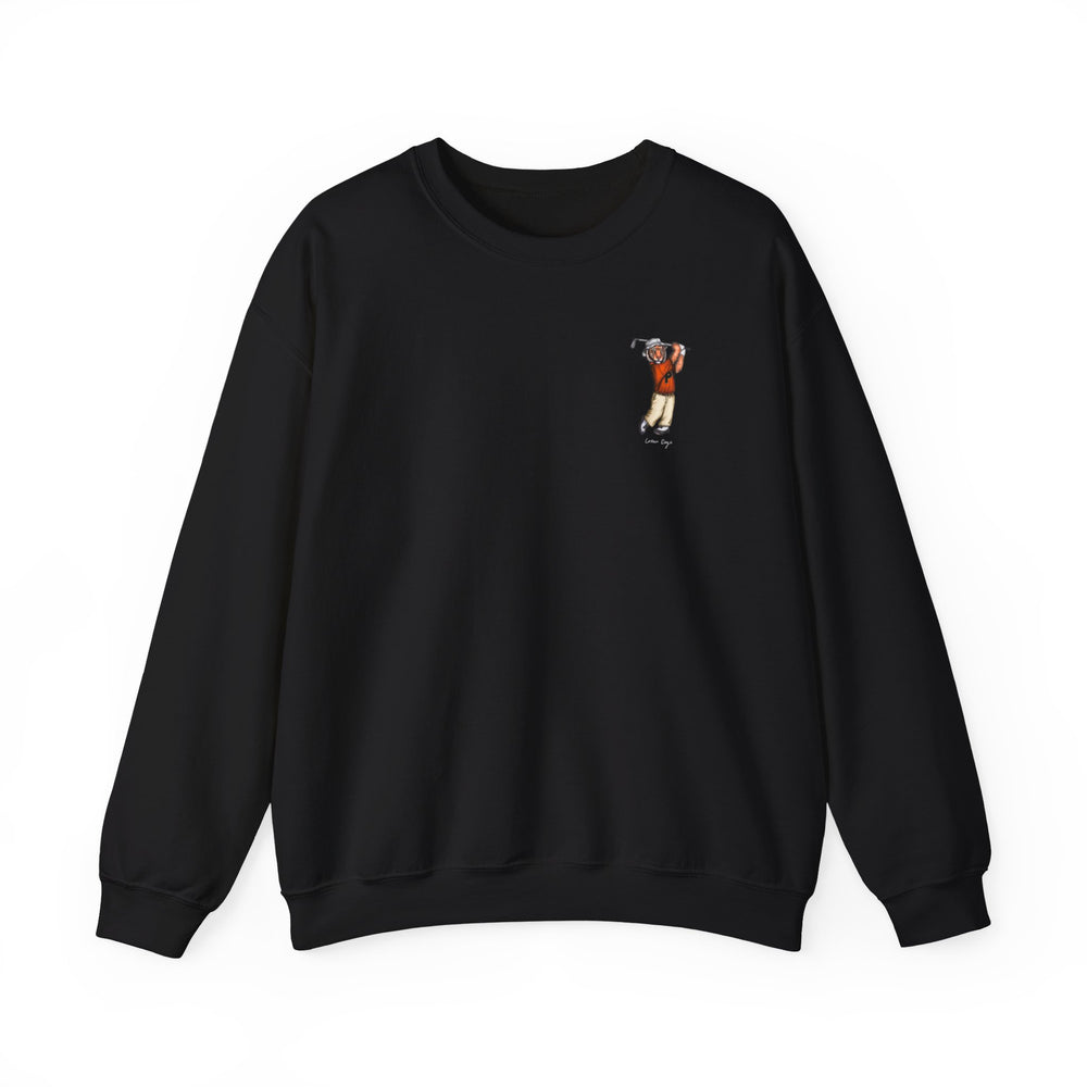 
                      
                        Princeton Golf Crewneck (side)
                      
                    