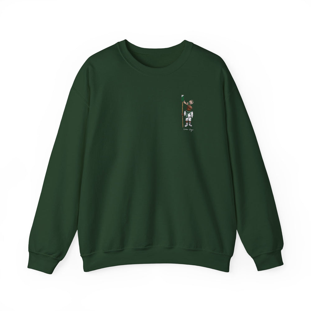 
                      
                        Dartmouth Crew Crewneck (side)
                      
                    