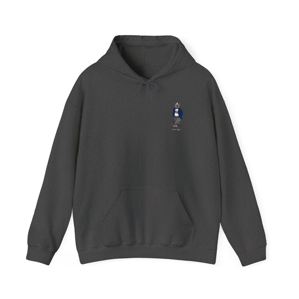 Georgetown 2028 Hoodie (side)