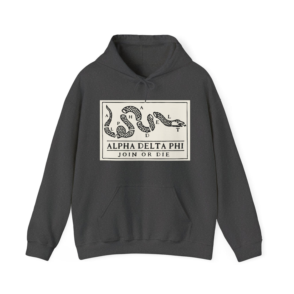 
                      
                        Alpha Delta Phi Hoodie
                      
                    