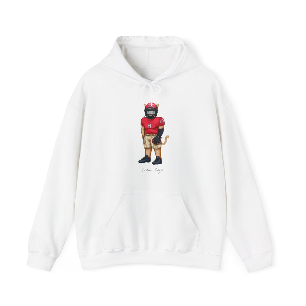 
                      
                        Harvard Football Hoodie (side)
                      
                    