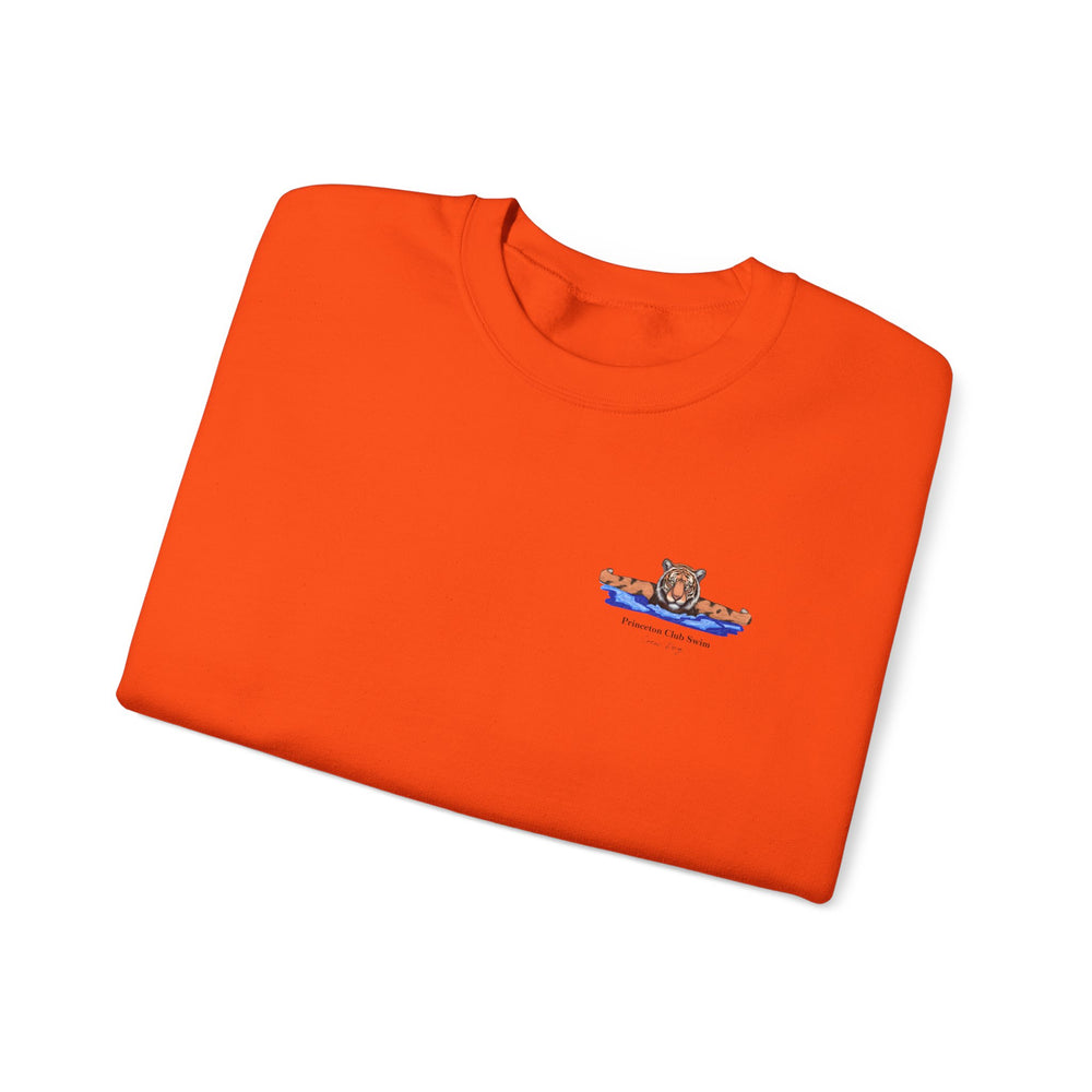 
                      
                        Princeton Club Swim Crewneck (side)
                      
                    