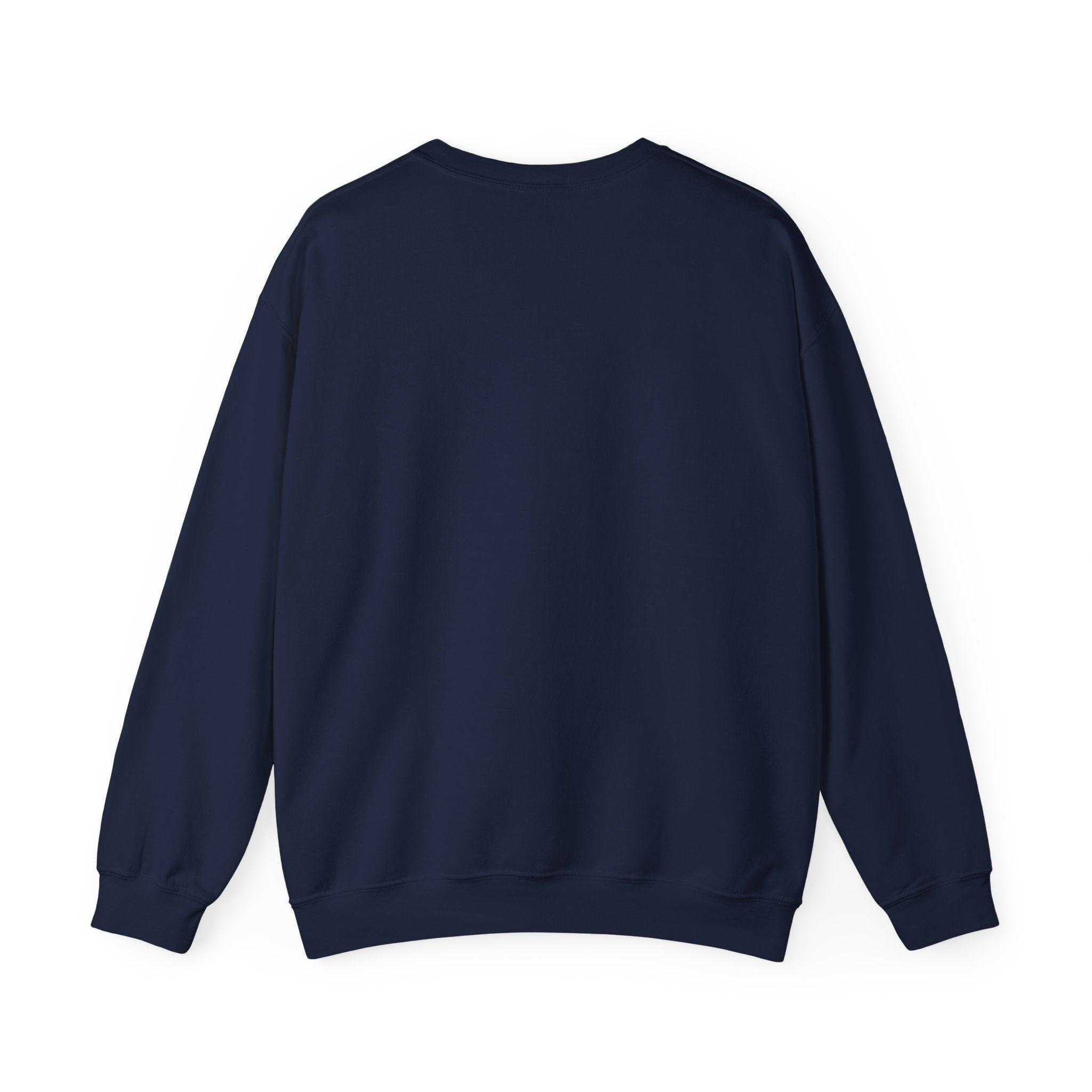 College crewnecks cheap sale