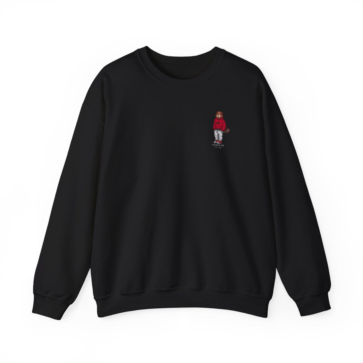 MIT 2028 Crewneck (side)