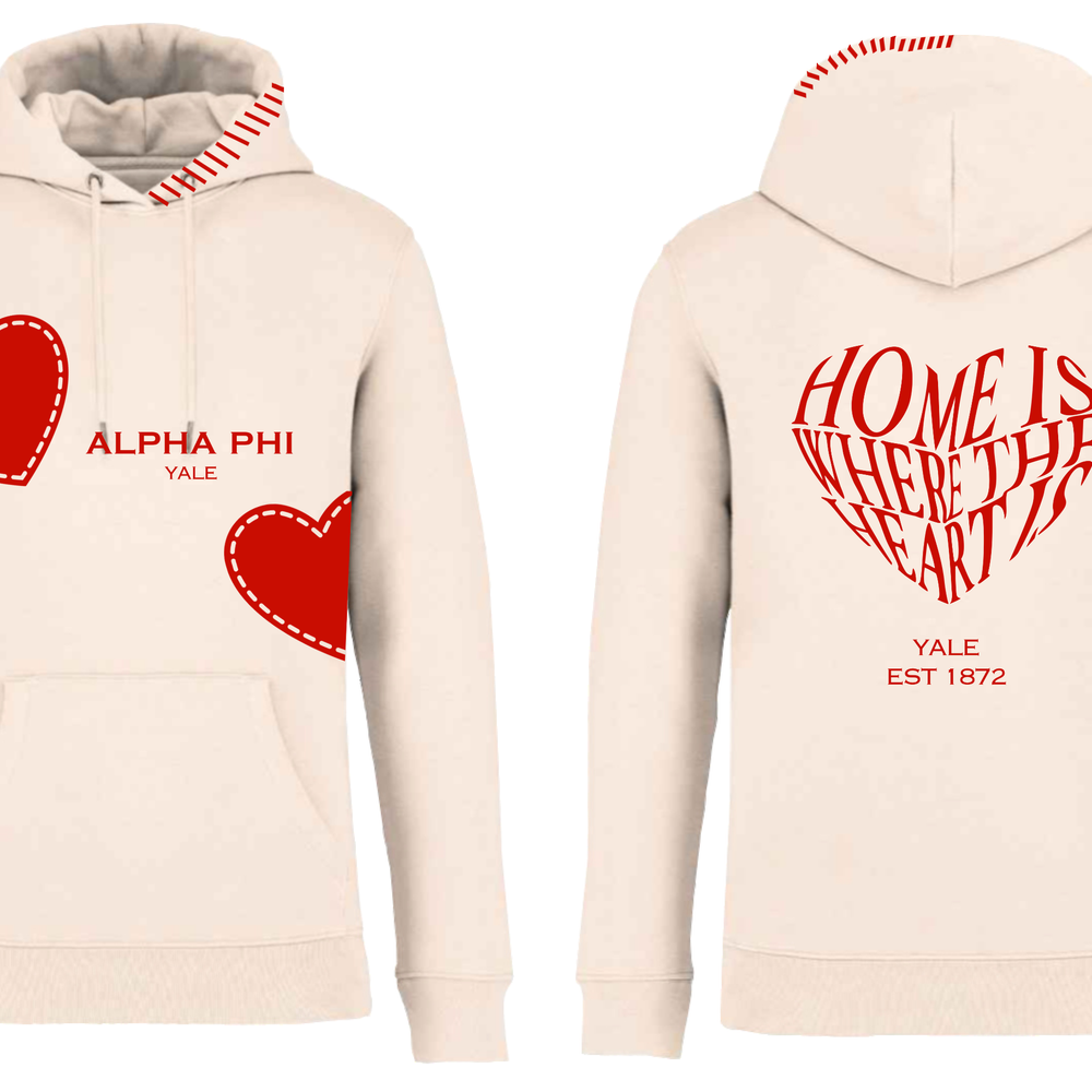APHI Hoodie