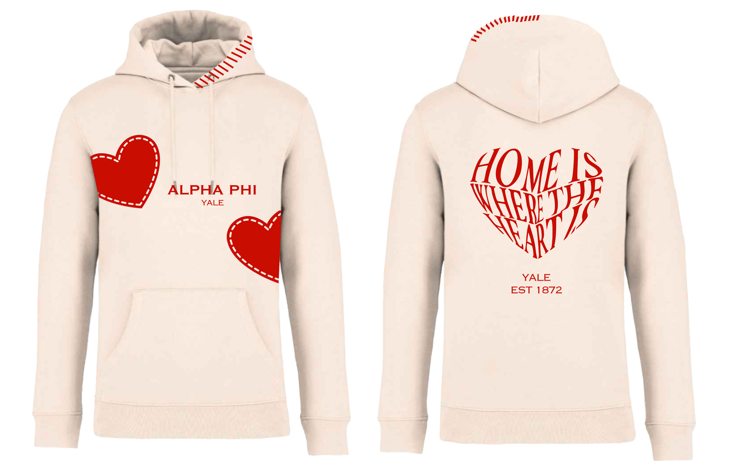 APHI Hoodie