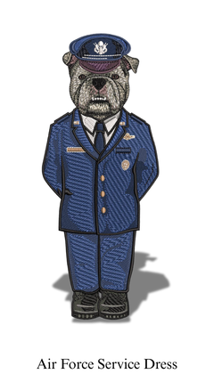 Air Force Service Dress
