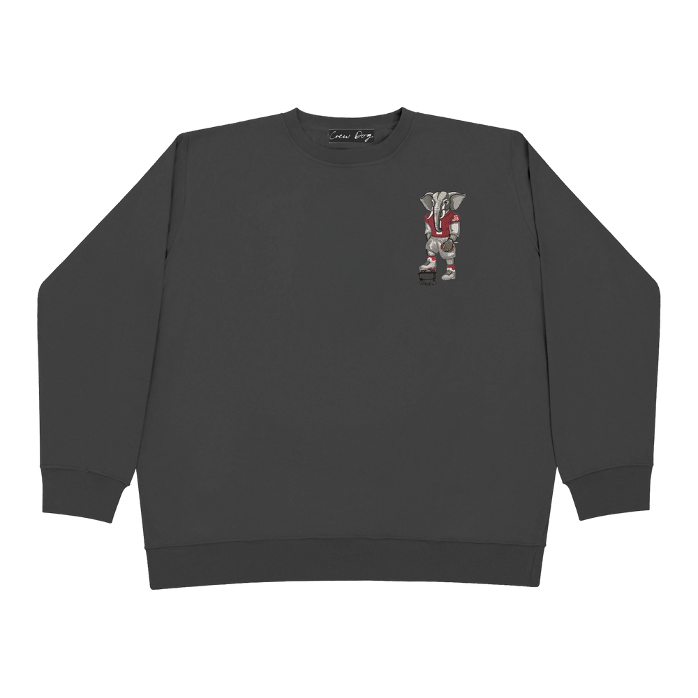 
                      
                        Alabama Football Crewneck
                      
                    