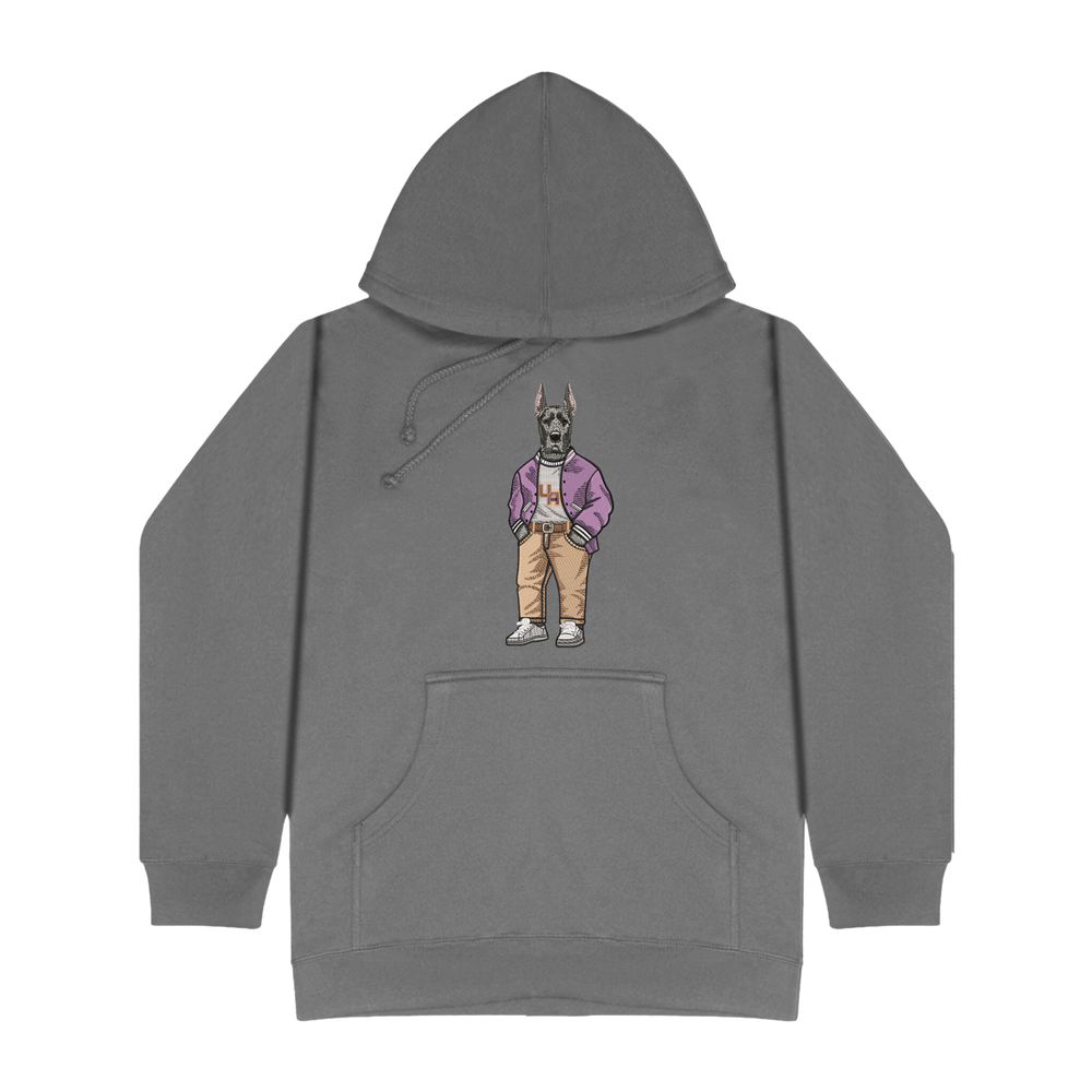 University of Albany Varsity Jacket Hoodie