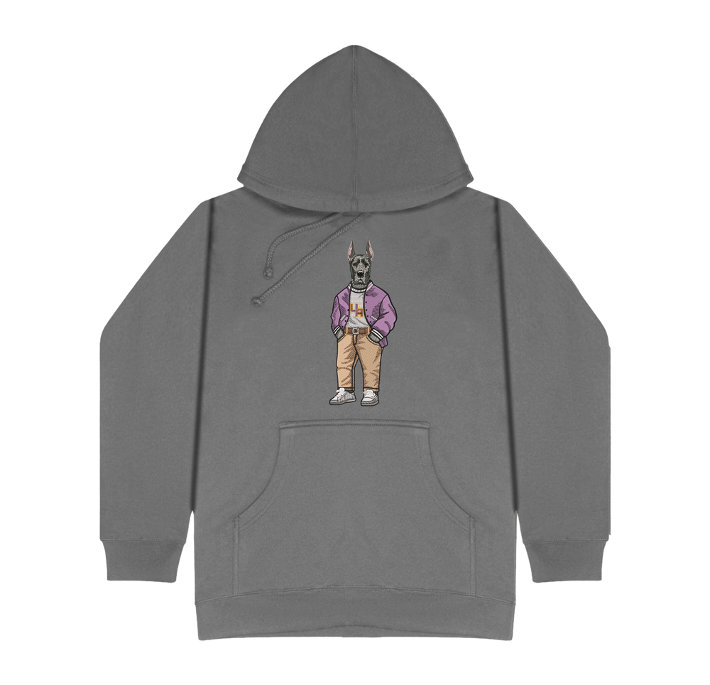 University of Albany Varsity Jacket Hoodie