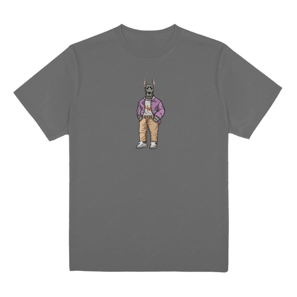 University of Albany Varsity Jacket Tee