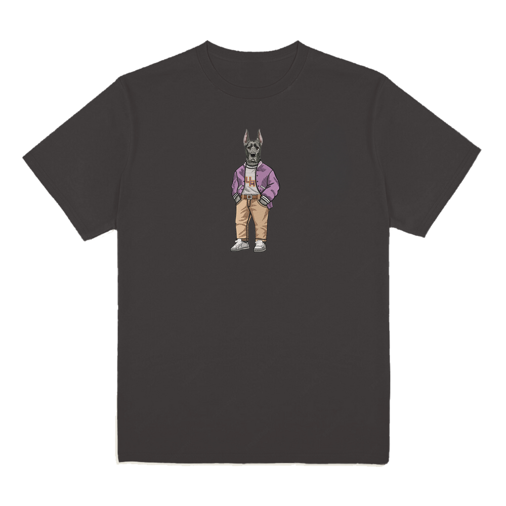 University of Albany Varsity Jacket Tee