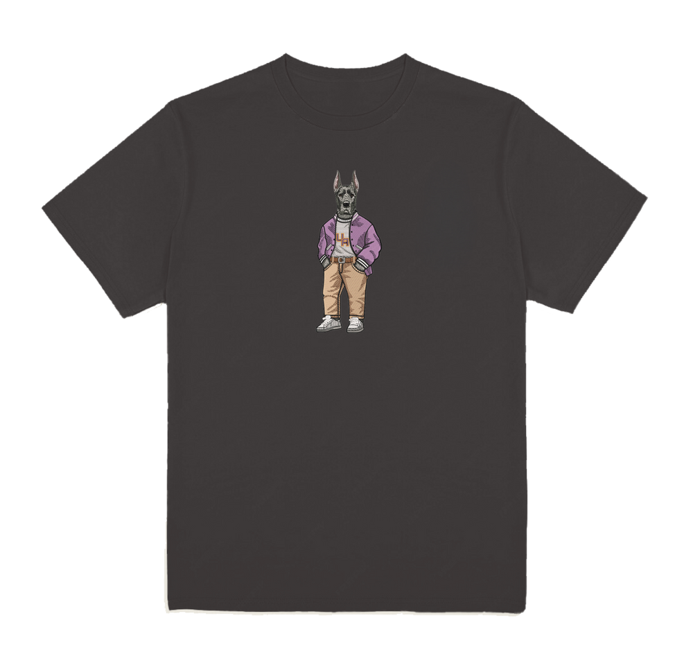 University of Albany Varsity Jacket Tee