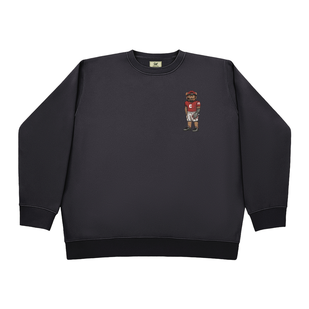 
                      
                        Cornell University Football Embroidered Crewneck
                      
                    