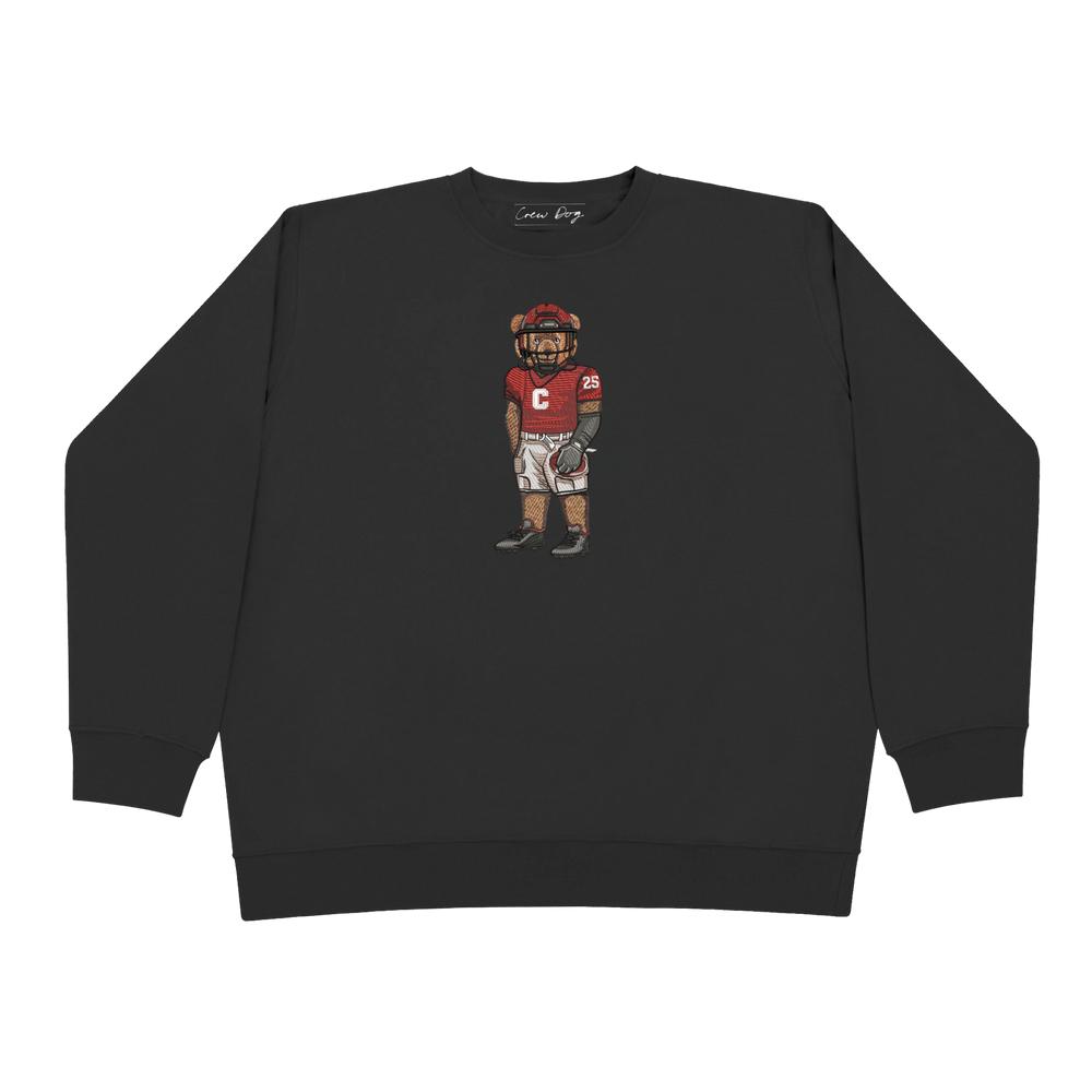 
                      
                        Cornell University Football Crewneck
                      
                    