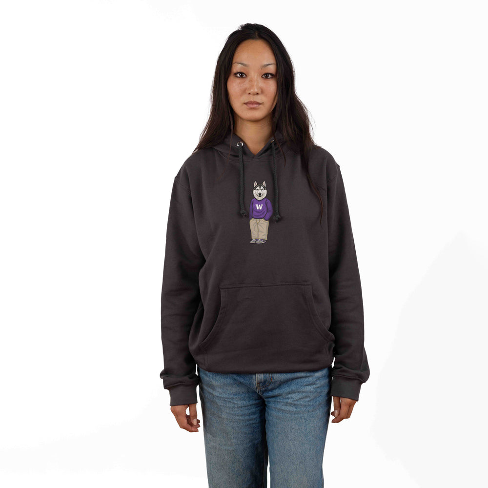 
                      
                        University of Washington Sweater Embroidered Hoodie
                      
                    