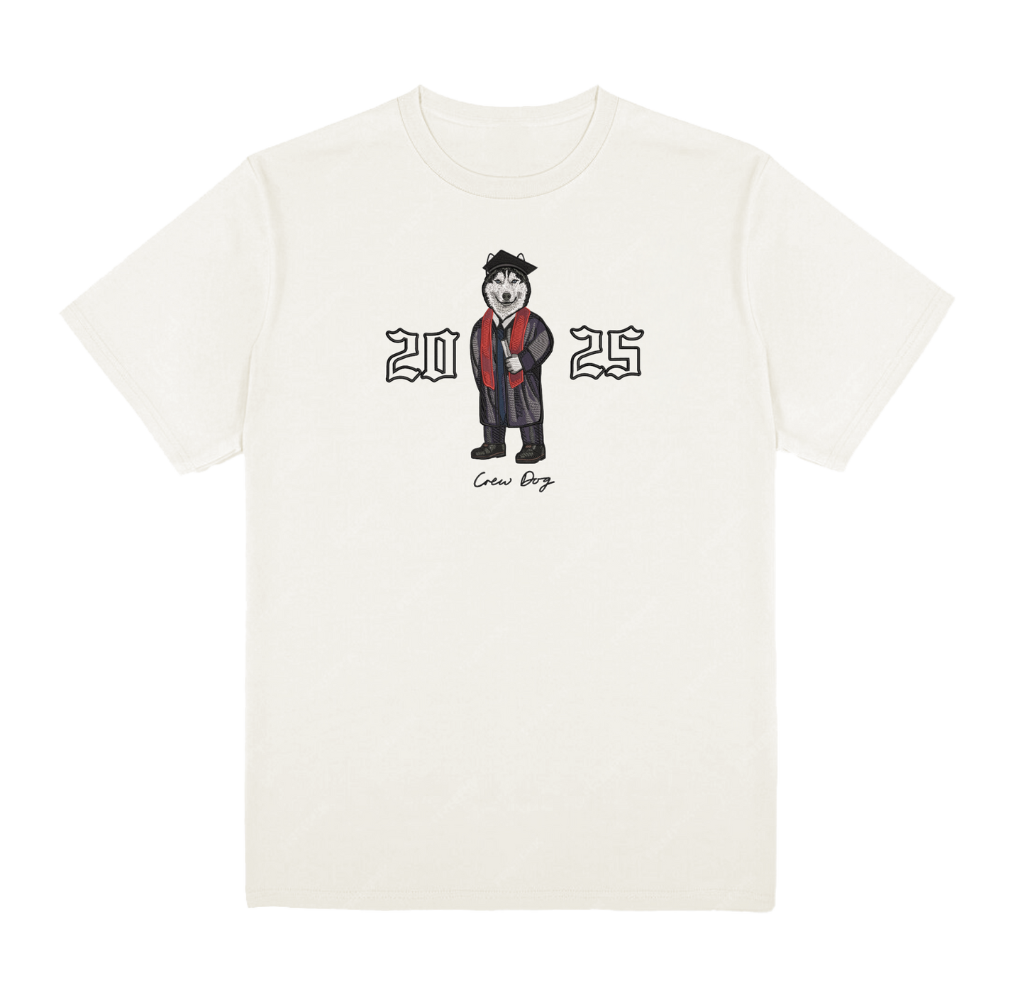 Northeastern 2025 Tee