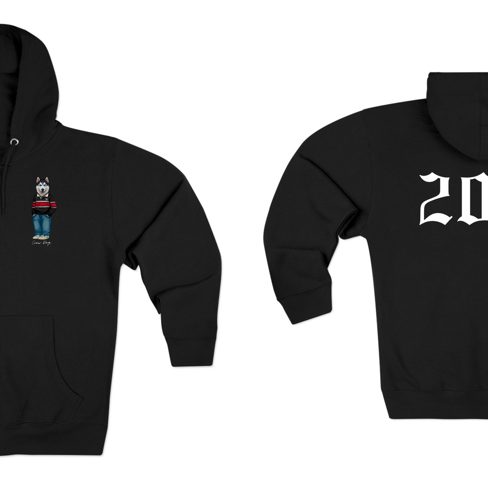 Northeastern 2029 Hoodie