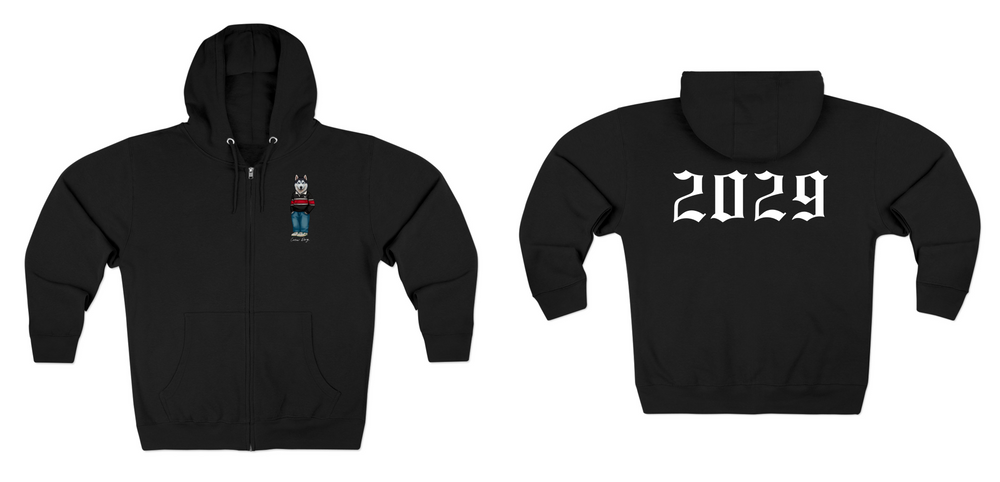 Northeastern 2029 Zip Hoodie