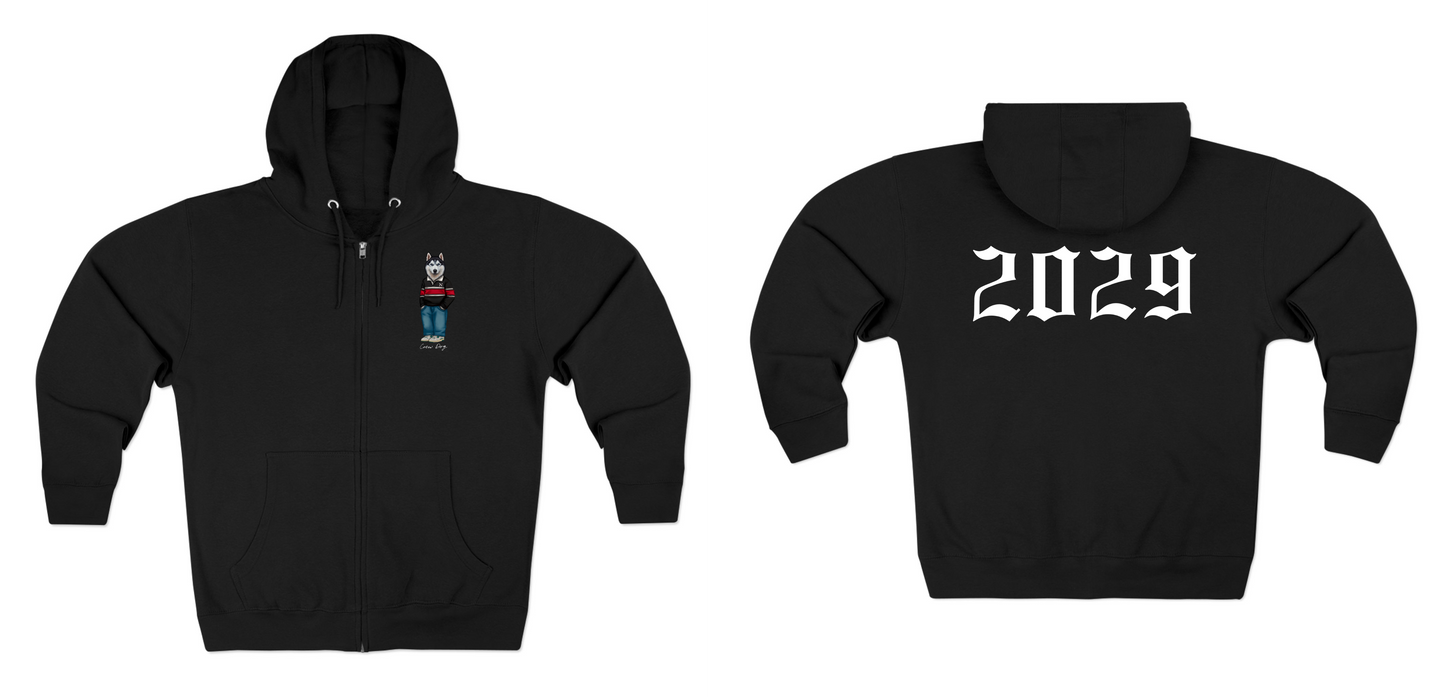 Northeastern 2029 Hoodie