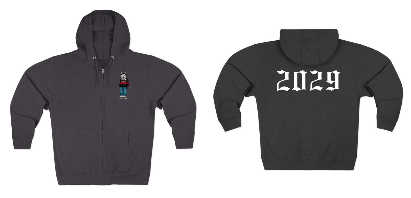 Northeastern 2029 Hoodie