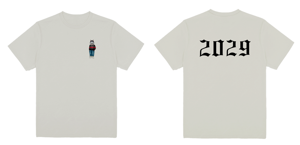 Northeastern 2029 Tee