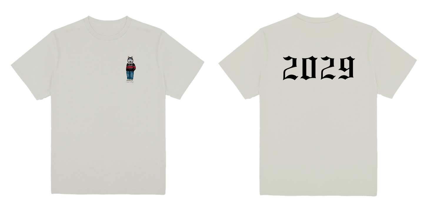 Northeastern 2029 Tee