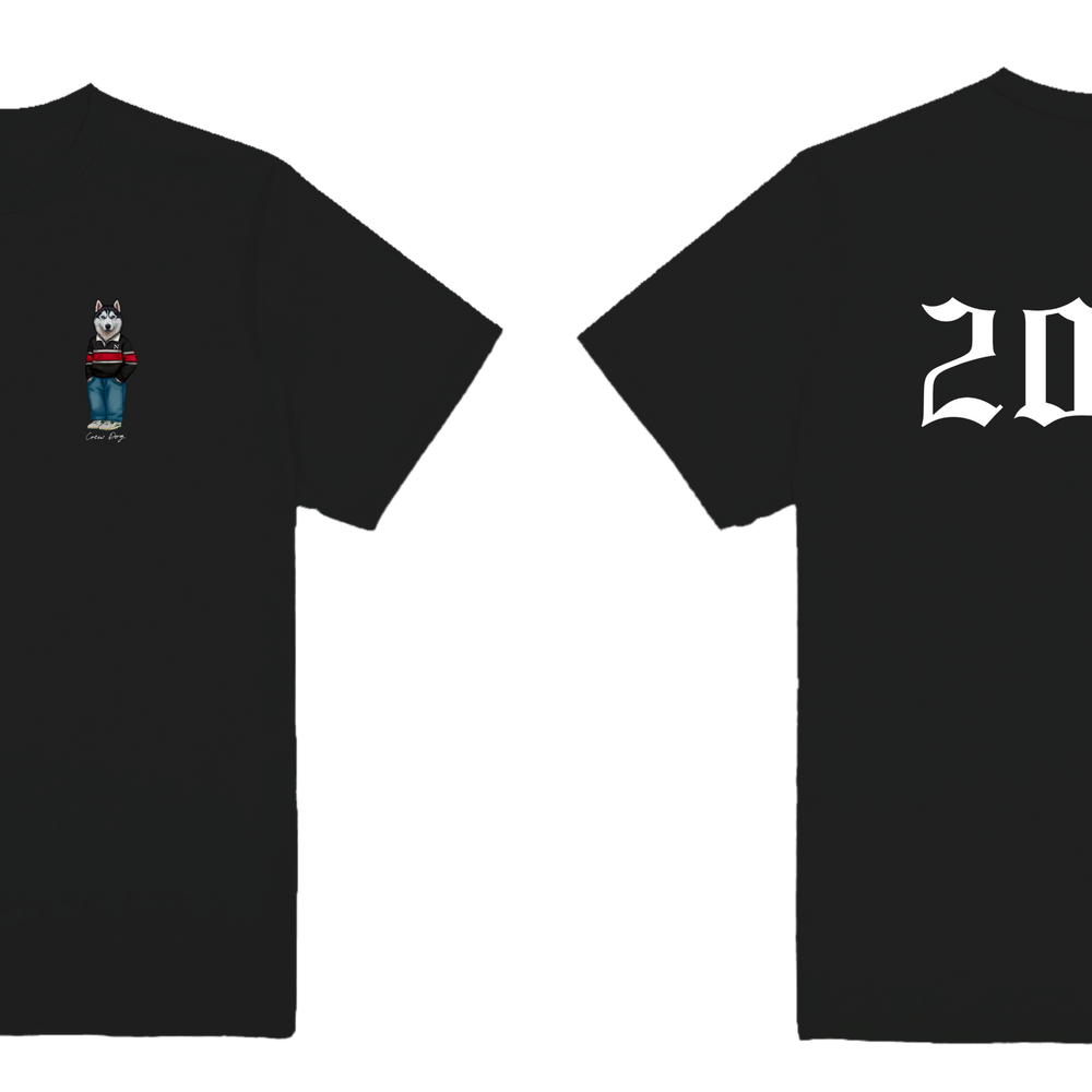 Northeastern 2029 Tee