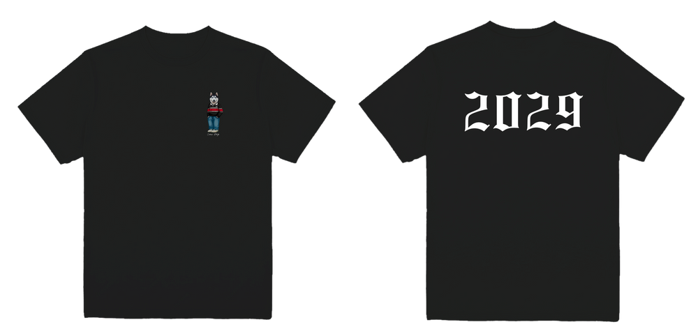 Northeastern 2029 Tee