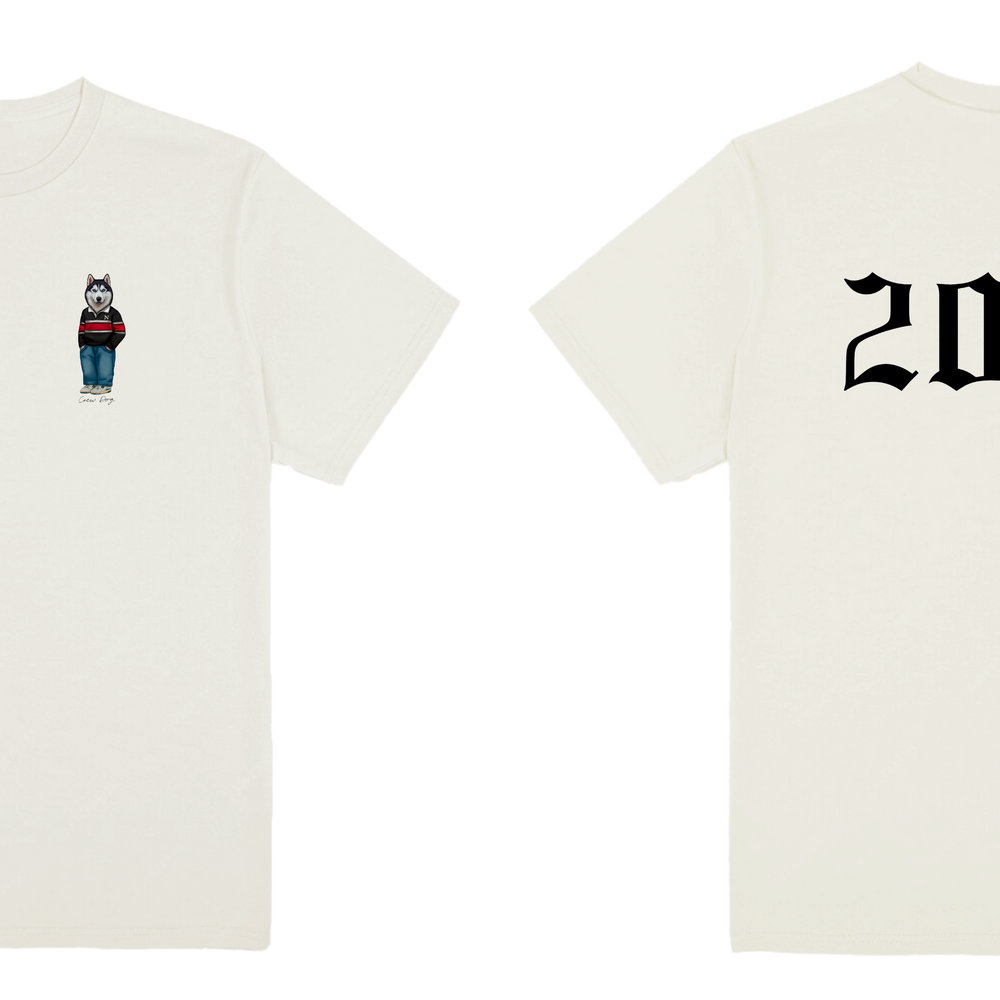 Northeastern 2029 Tee