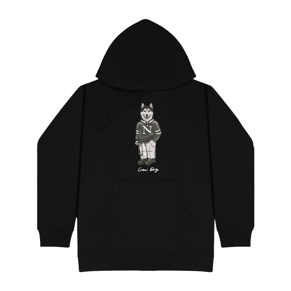 Northeastern Camera Hoodie