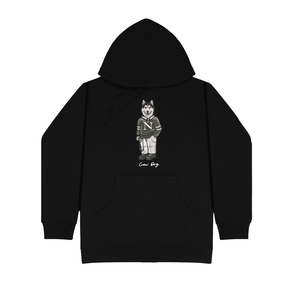 Northeastern Camera Hoodie