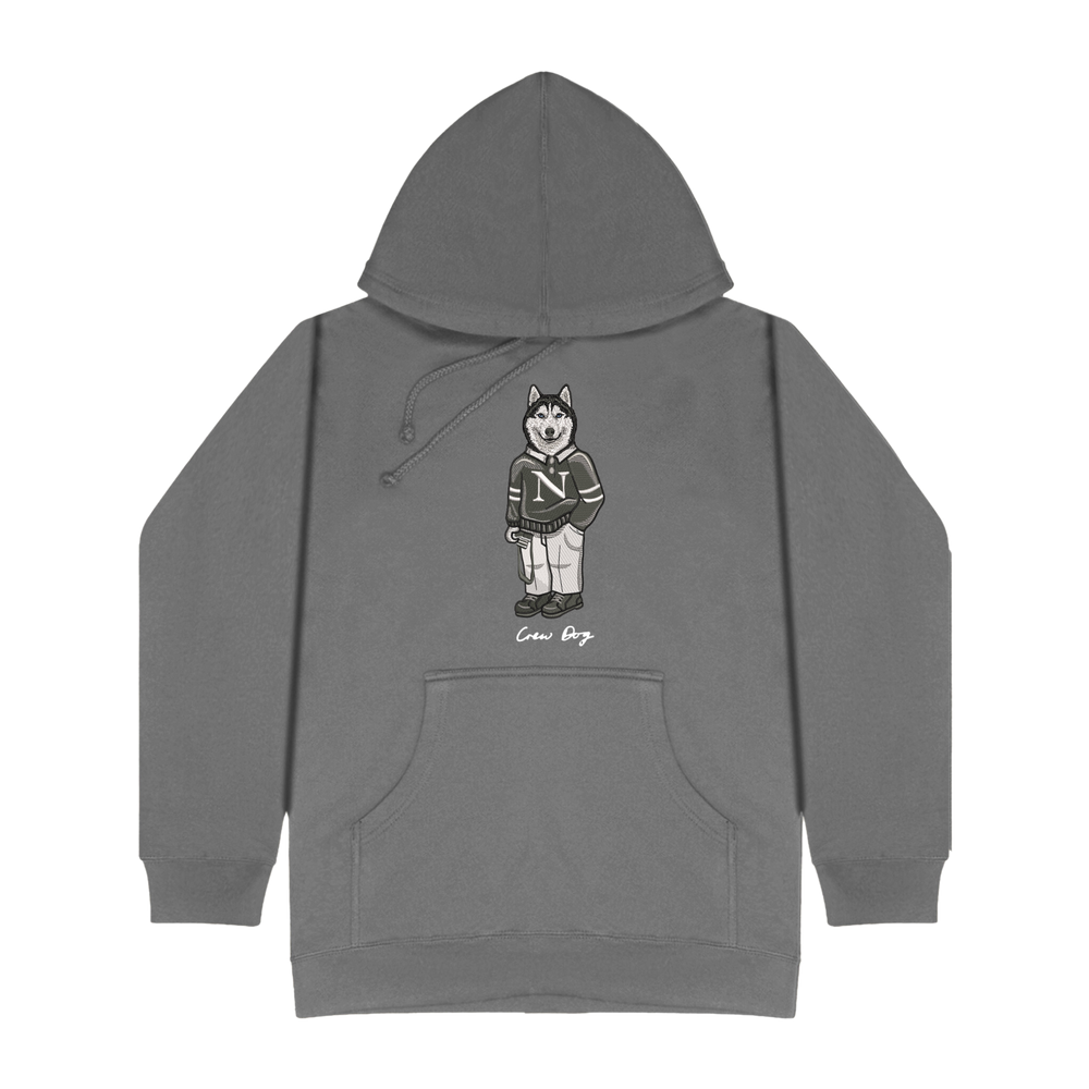 Northeastern Camera Hoodie