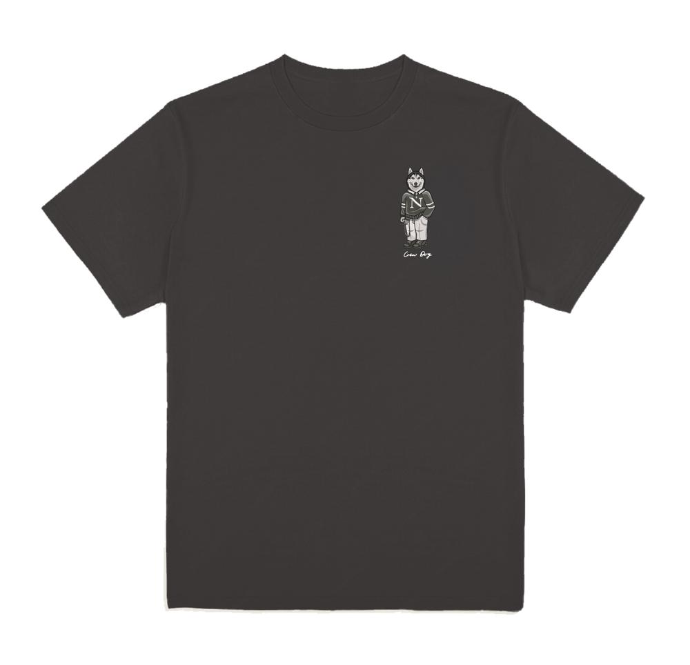 Northeastern Camera Tee