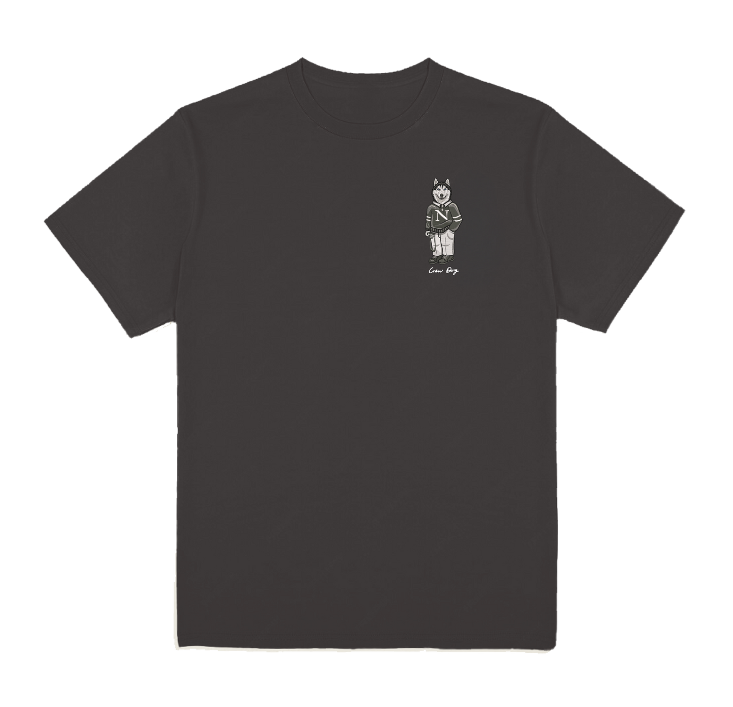 Northeastern Camera Tee