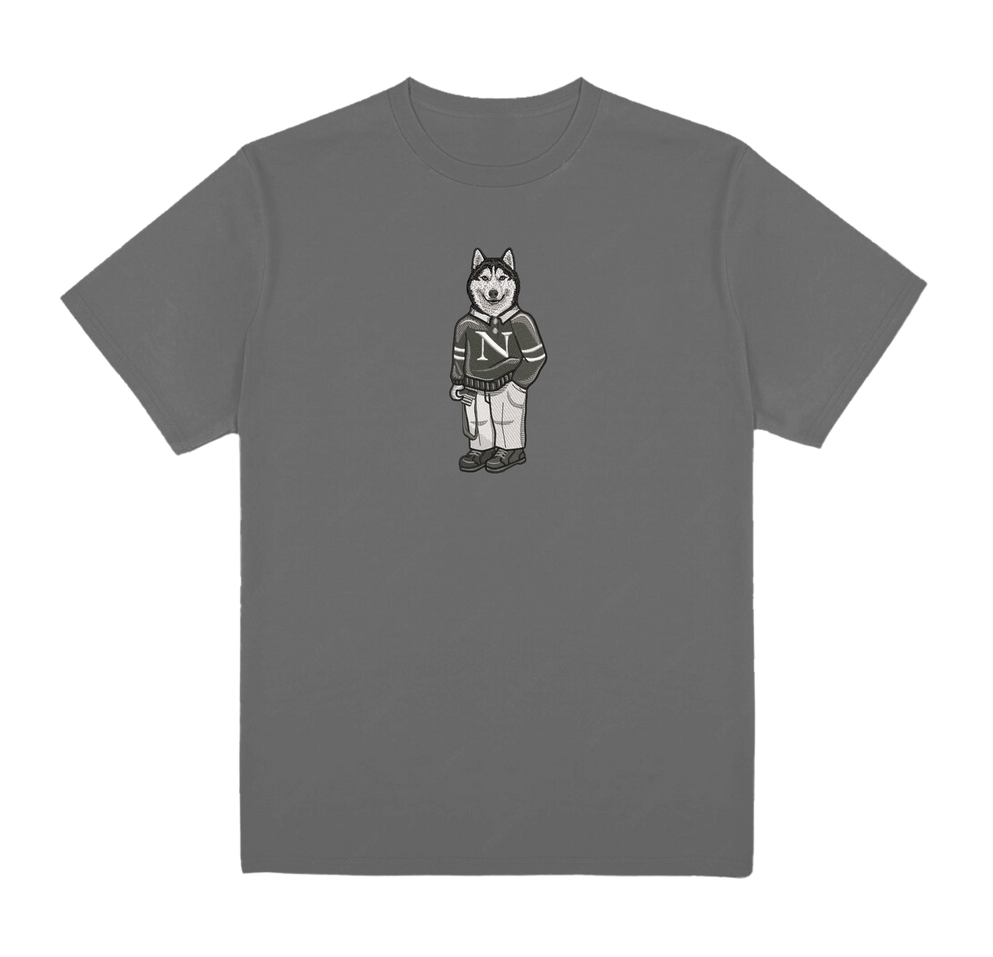 Northeastern Camera Tee