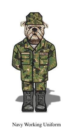 Navy Working Uniform