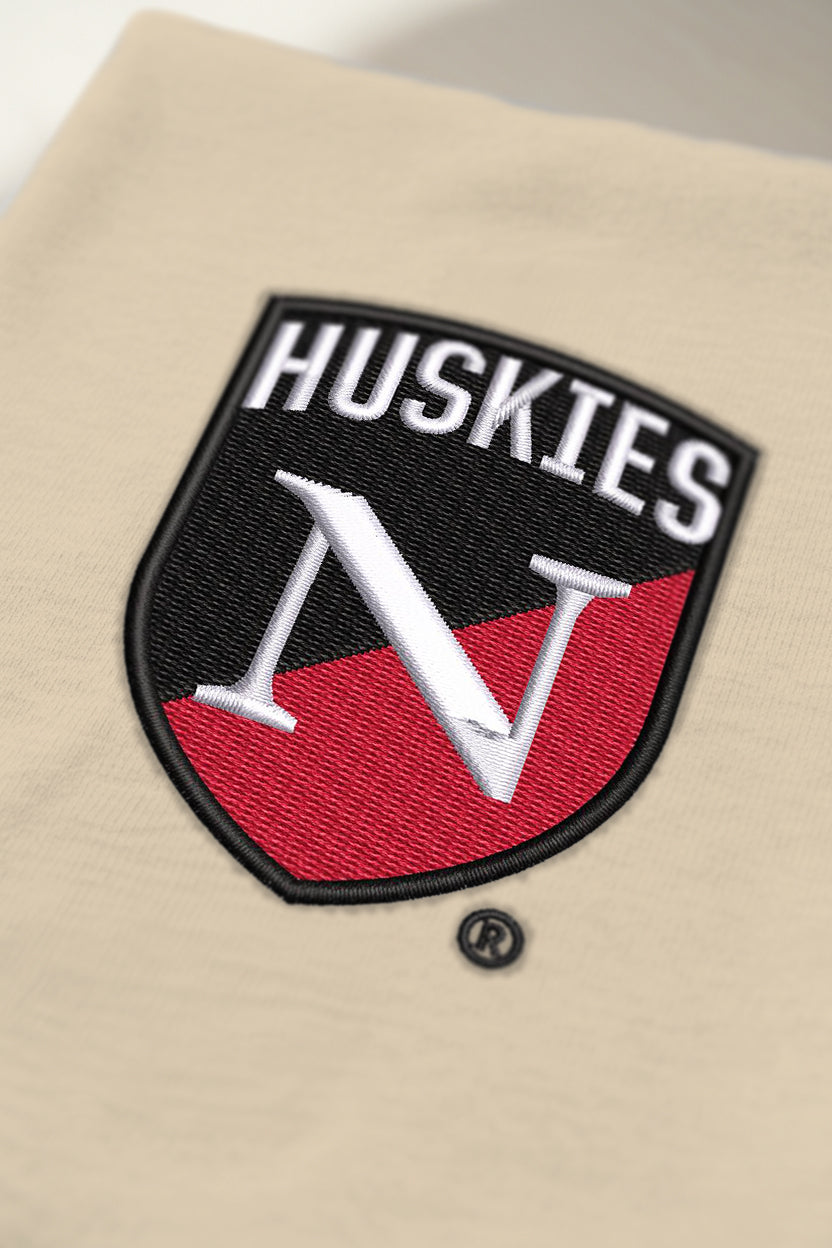 Northeastern Banner Hoodie