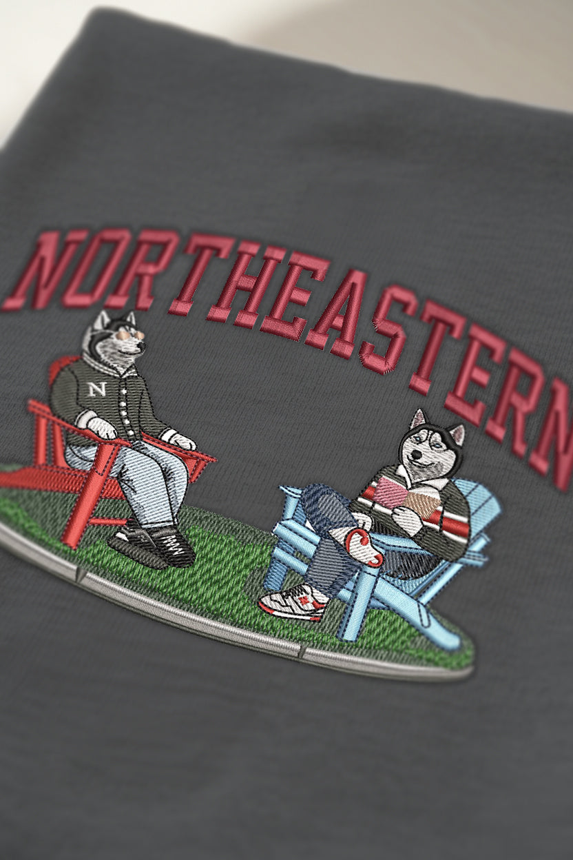 Northeastern Lawn Embroidered Hoodie