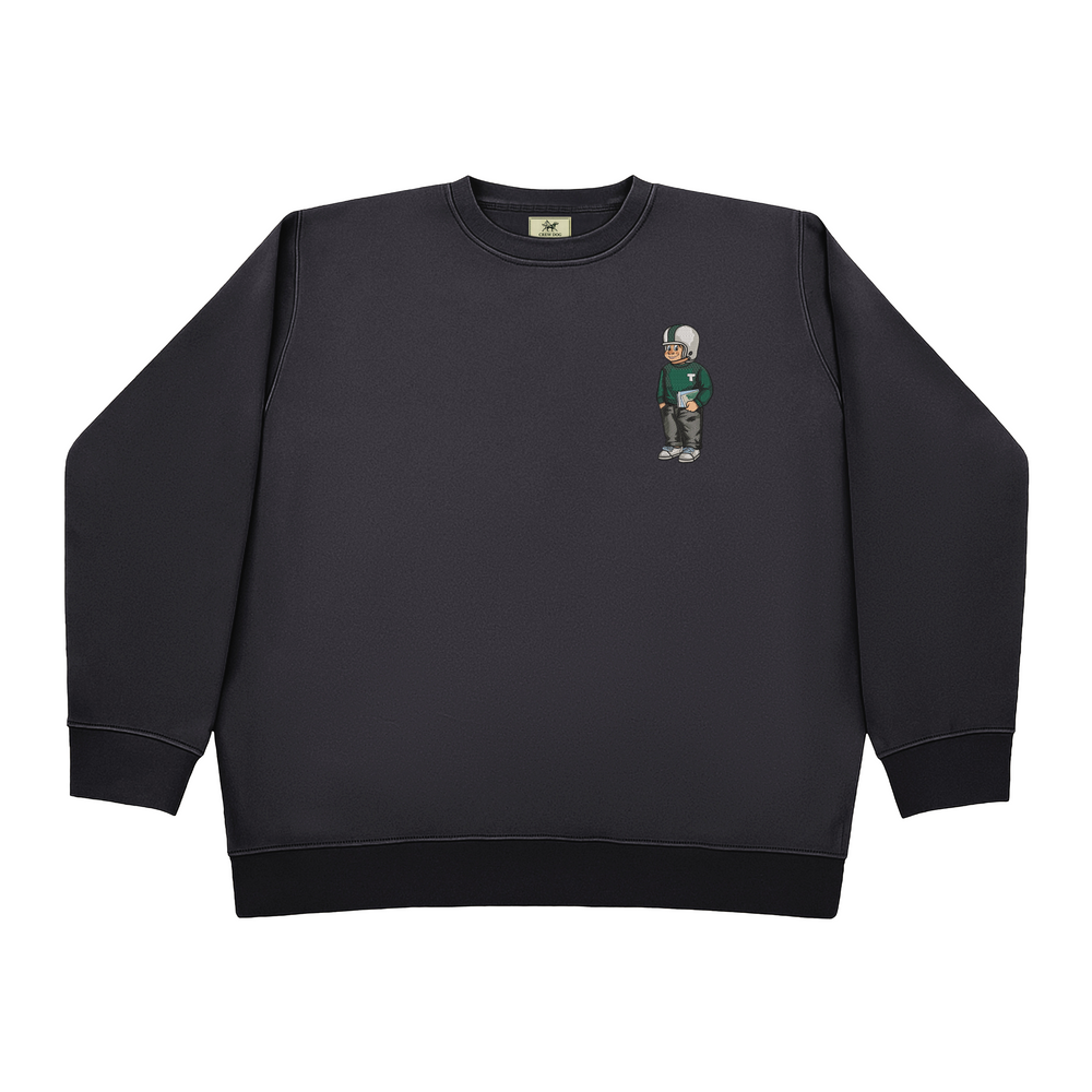
                      
                        Tulane Sweater Embroidered Crewneck
                      
                    