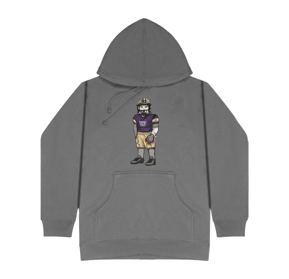 University of Washington Football Hoodie
